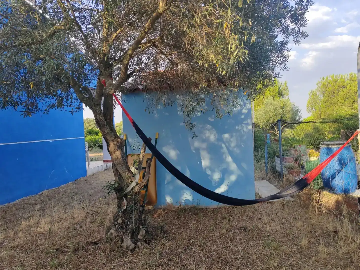 Jardí de Finca rústica en venda en Arroyo de la Luz amb Jardí privat, Piscina i Moblat