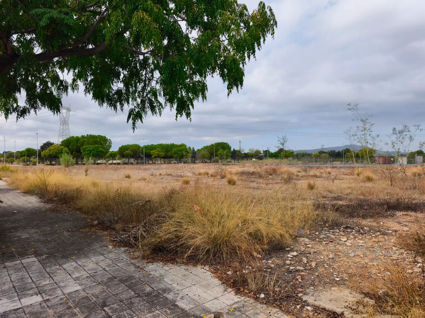 Industrial land for sale in Carrer Toll-l'Alberca Calle E 10, imagen 10