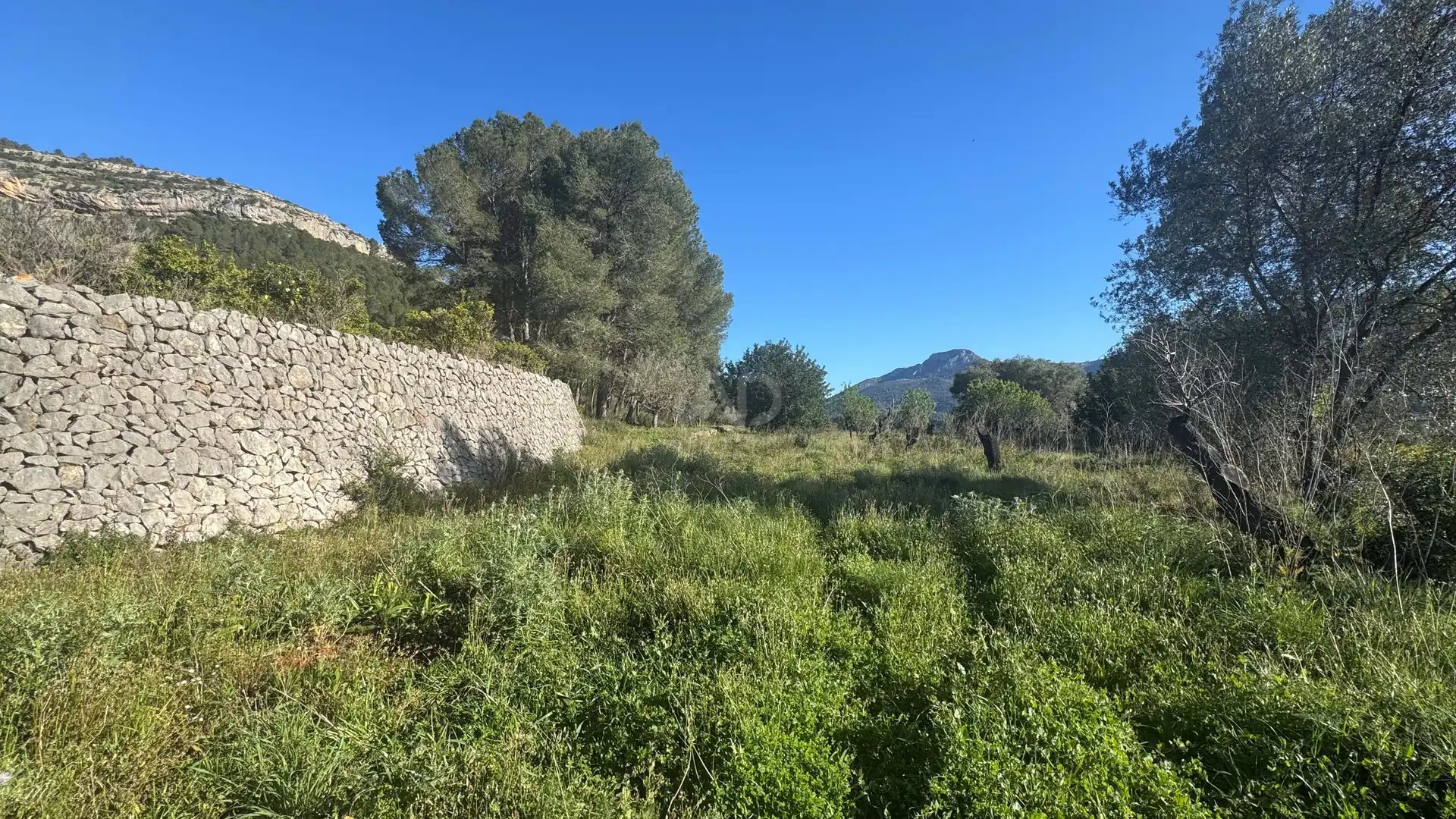 Residential for sale in Murla