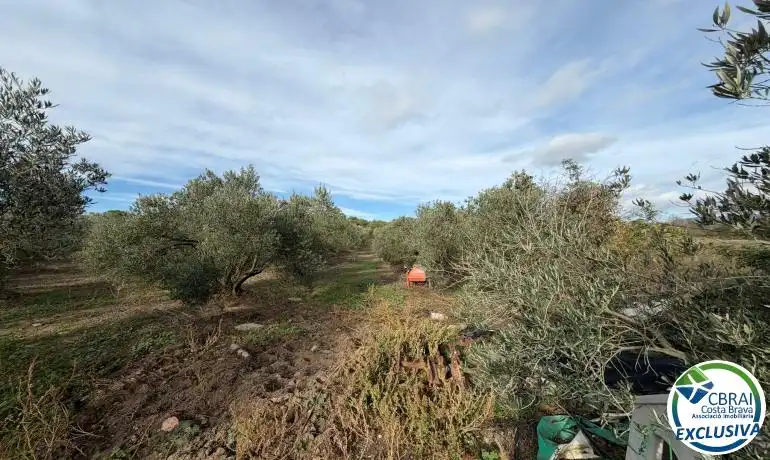 Terrenys i solars en venda a Nord, imagen 18
