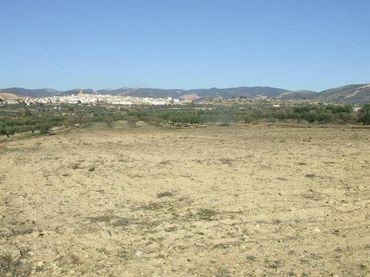 Terrain rustique à vendre à Villar del Arzobispo