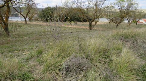 CONJUNTO DE PARCELAS A LA VENTA EN BOCAIRENT, immagine 5