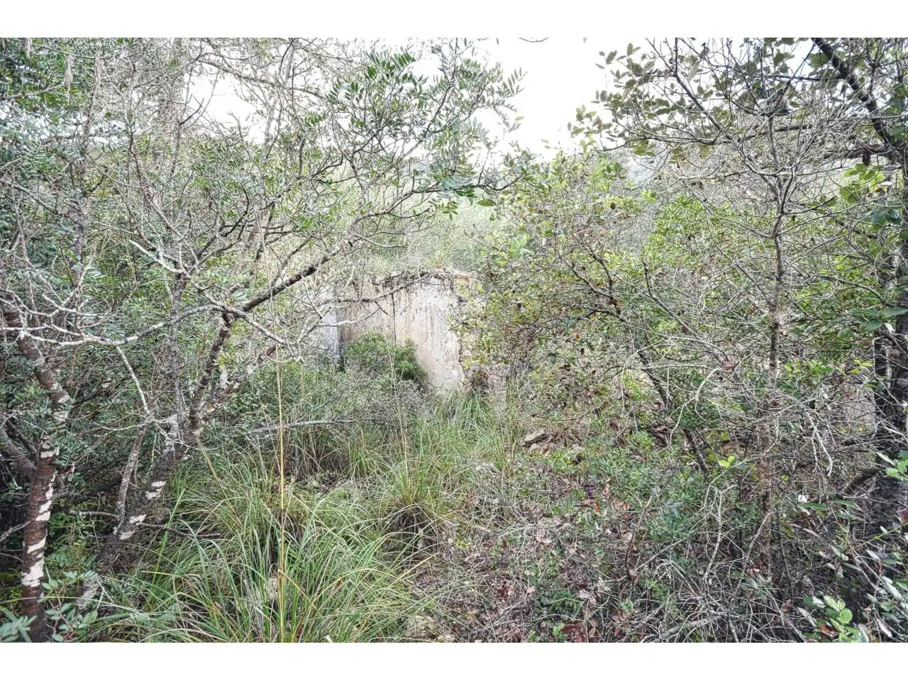 Wohnbaugrundstück zum Verkauf in Poligono 34 1254, imagen 9