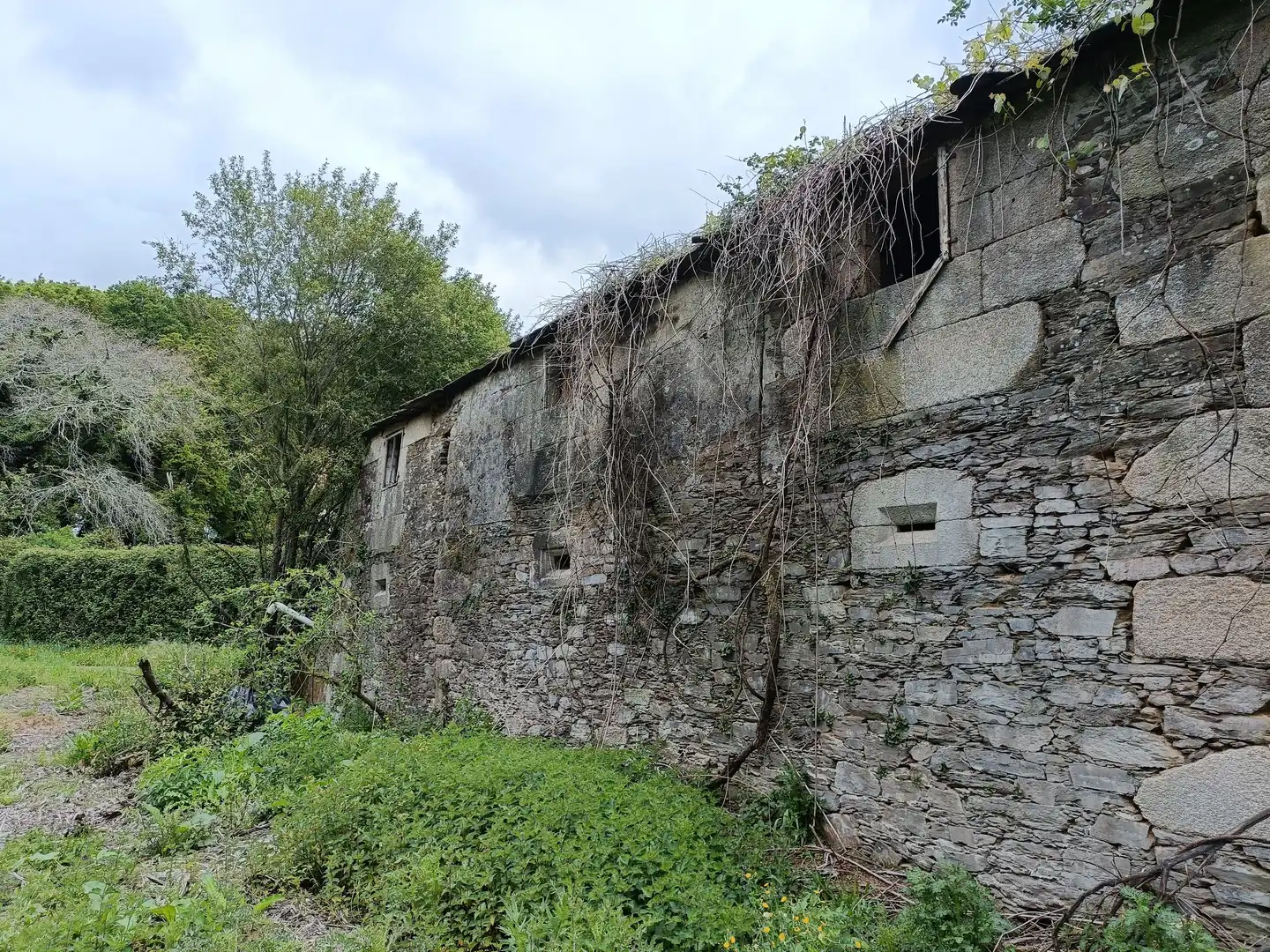 Vista exterior de Casa o xalet en venda en Aranga amb Jardí privat i Traster