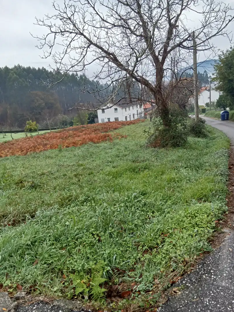 Terreni e lotti in vendita a Sedes - Pedroso - Doso, imagen 5