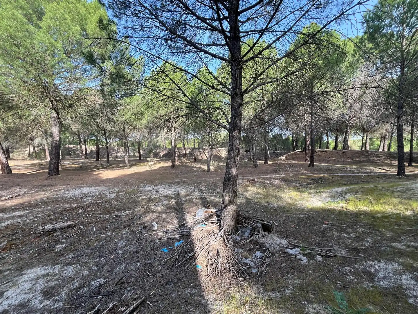 Terreno en venta en Tudela de Duero