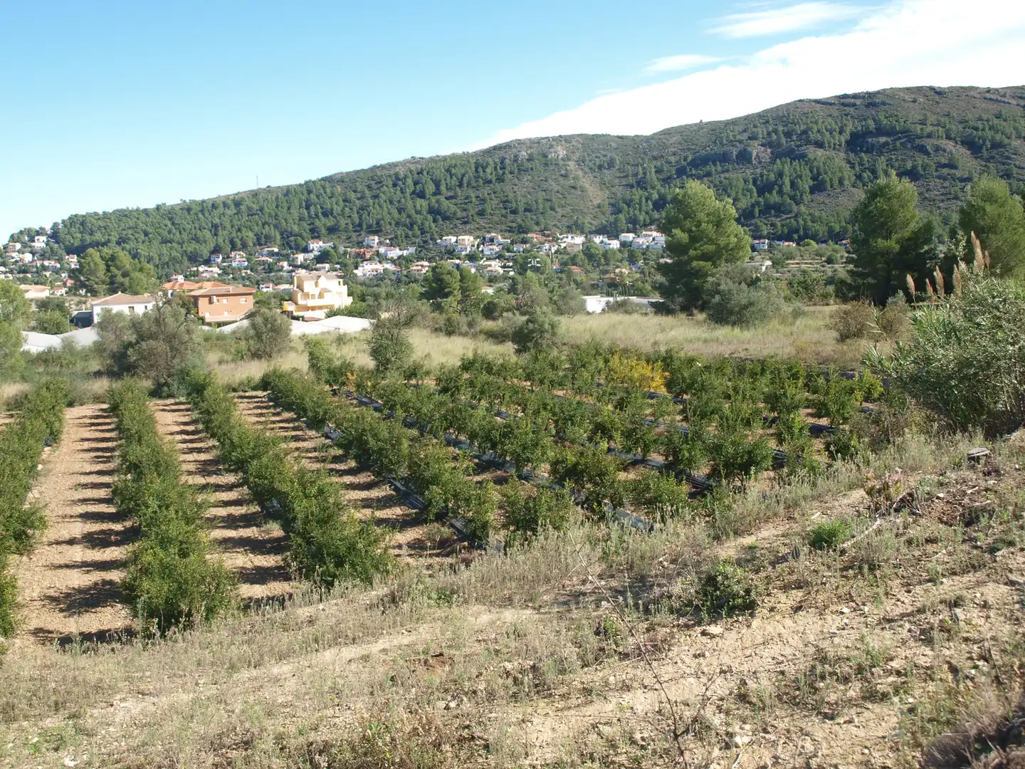 Terreno residenziale in vendita a Calles, imagen 9