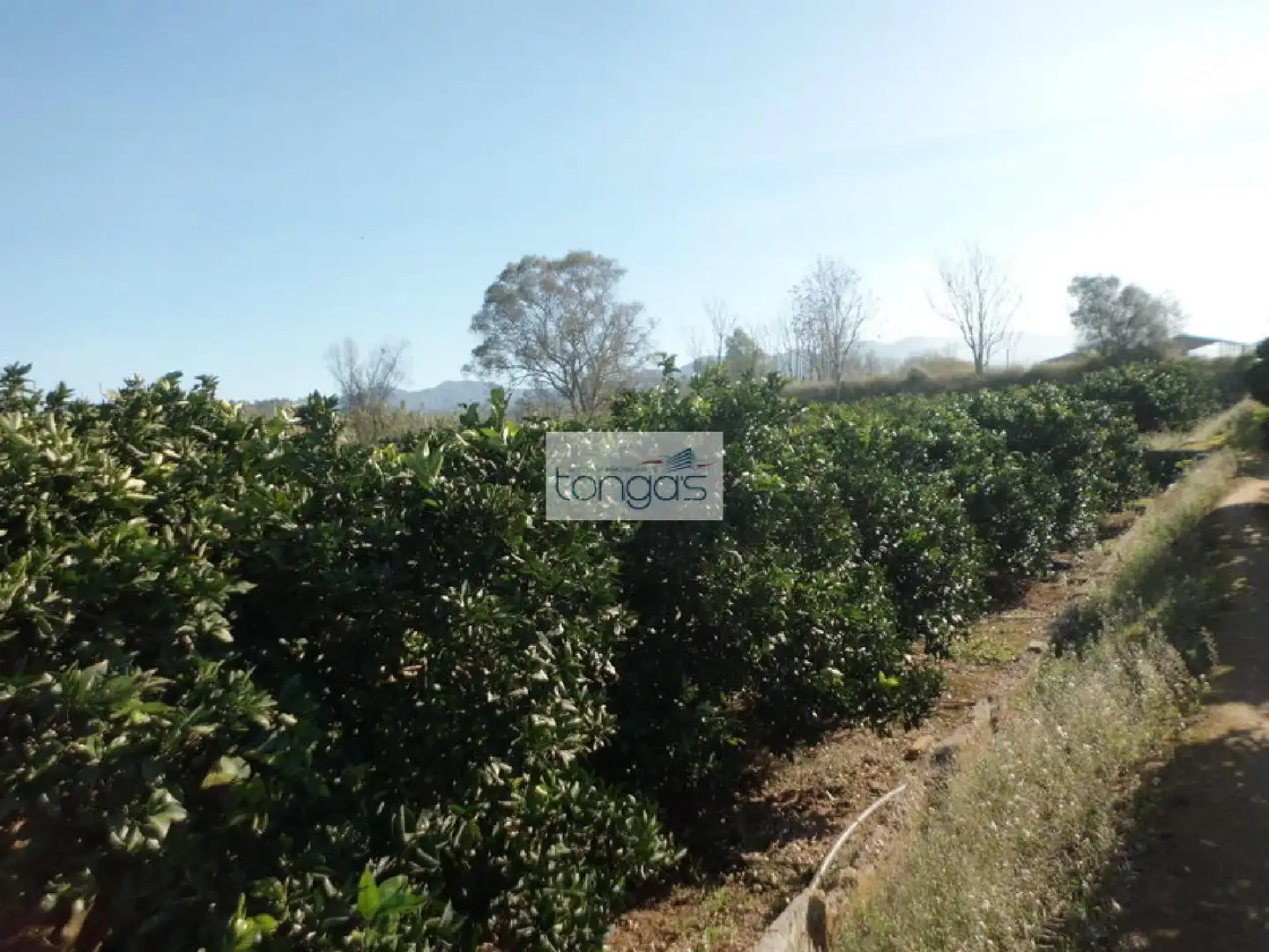 Terreno en venta en Llocnou d'En Fenollet