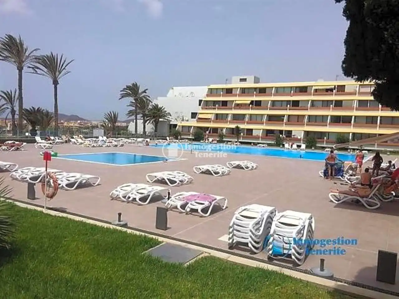 Apartments for rent in Diana, Costa del Silencio