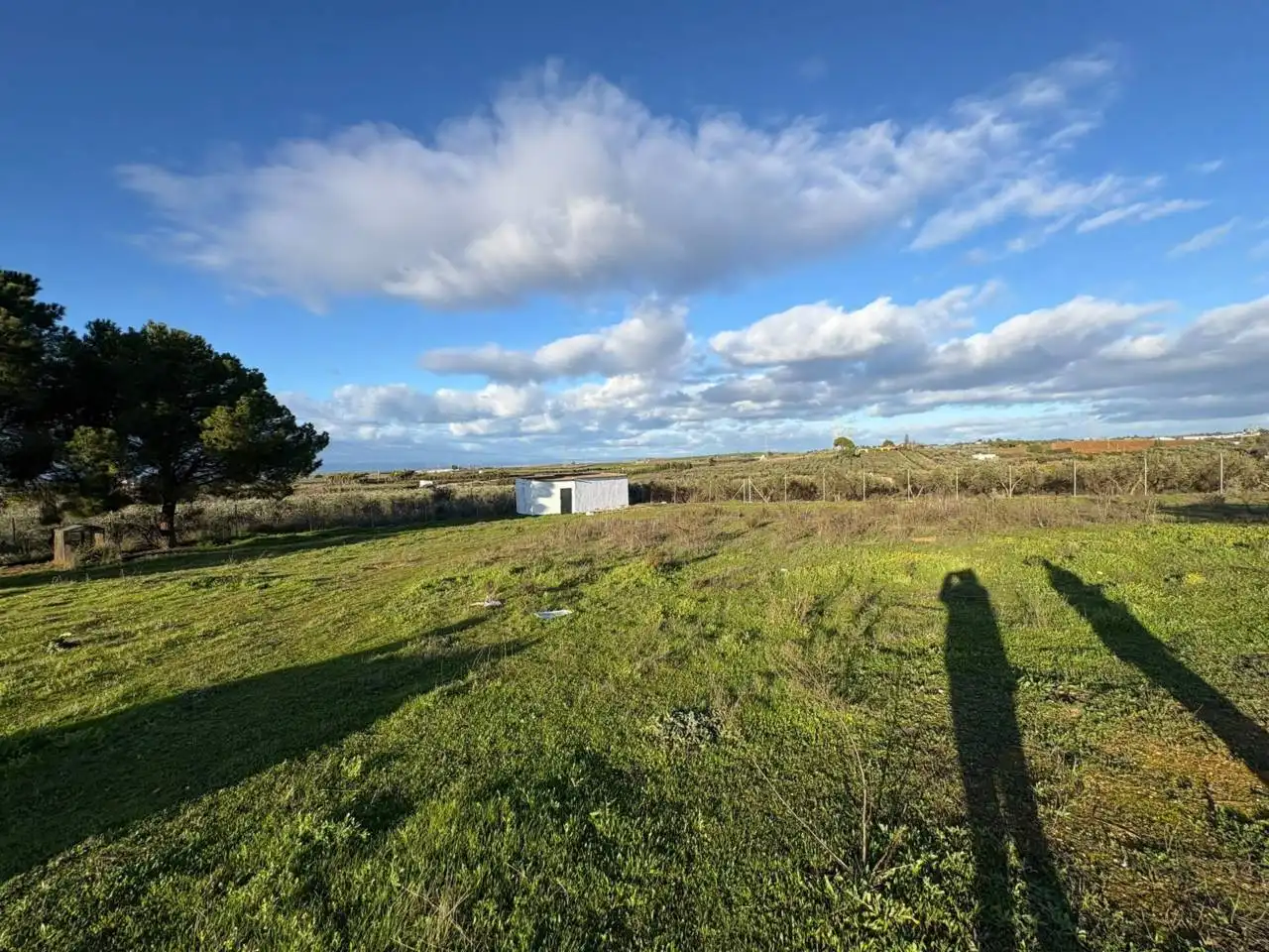 Villa avec jardin à vendre à Urbanizacion LOS FRUTALES, imagen 9