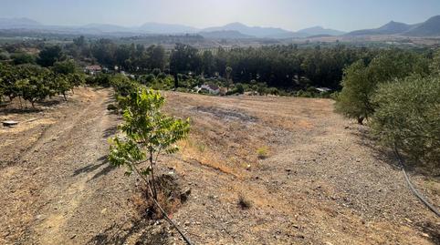 Foto 5 de Finca rústica en venda a Pizarra, Málaga