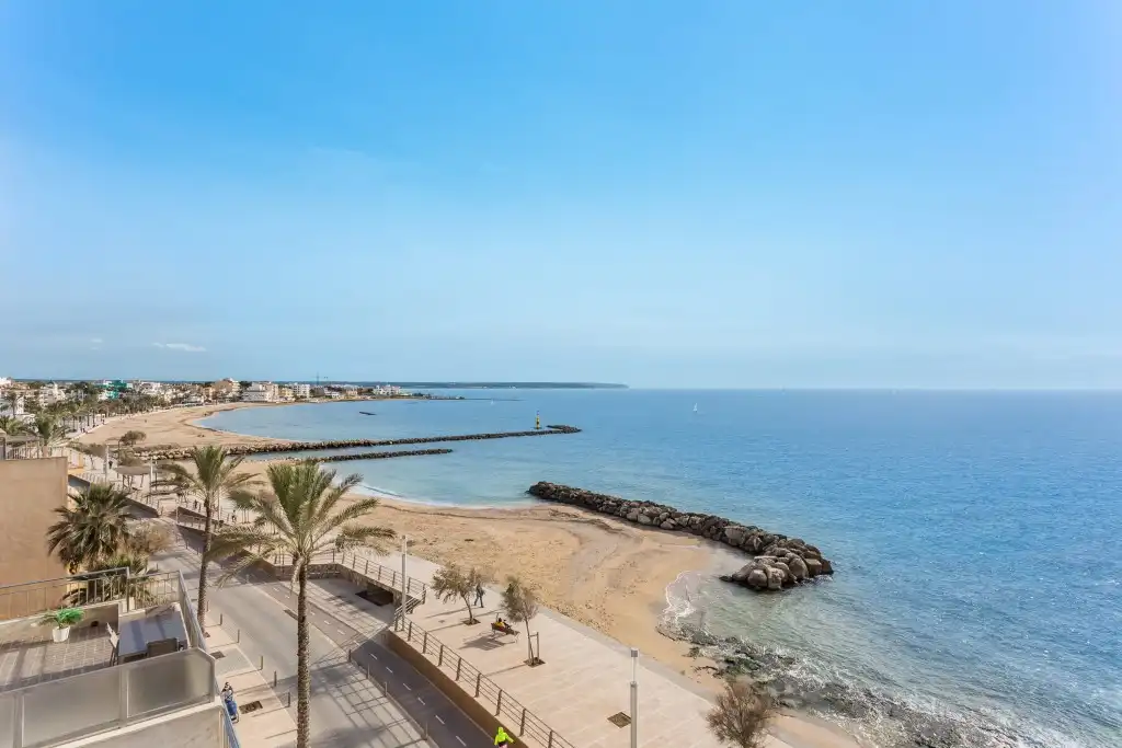 Terreny rústic en venda a Platja de Palma, imagen 6
