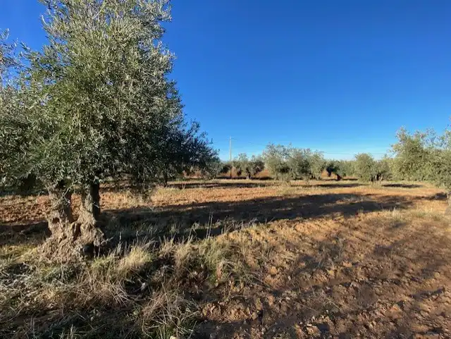 Terreno rustico in vendita a Sonseca, imagen 4