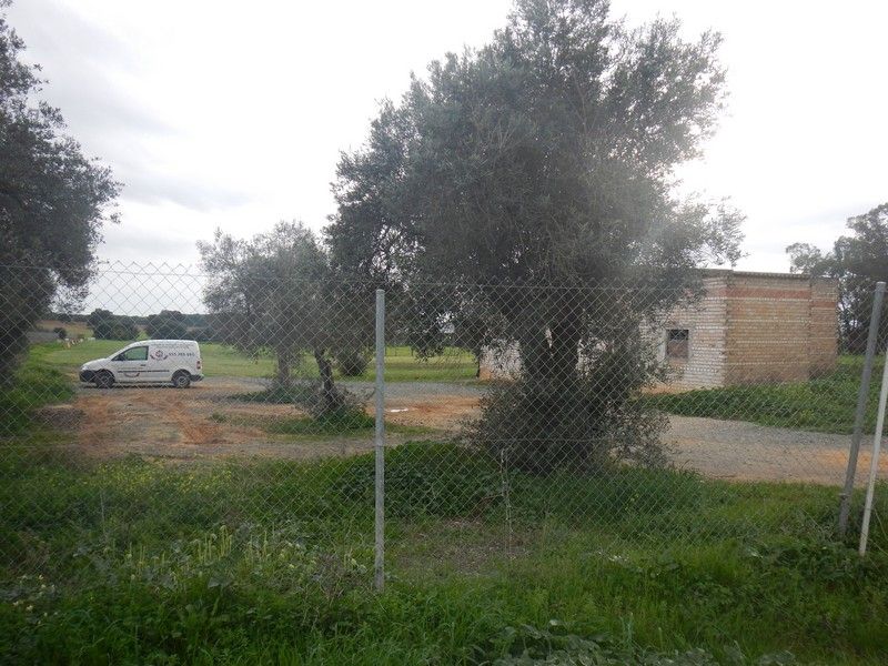 Finca rústica en venda en Aznalcázar