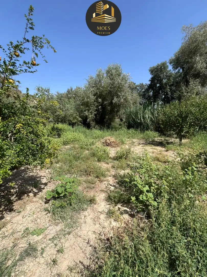 Detached house for sale in Puente Jontoya - Puente de la Sierra - El Arroyo, imagen 49