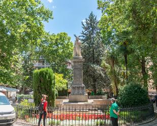 Jardí de Apartament en venda en  Granada Capital amb Terrassa