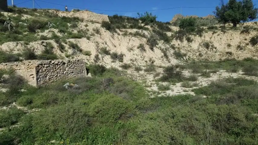 Finca rústica en venta en Ricote