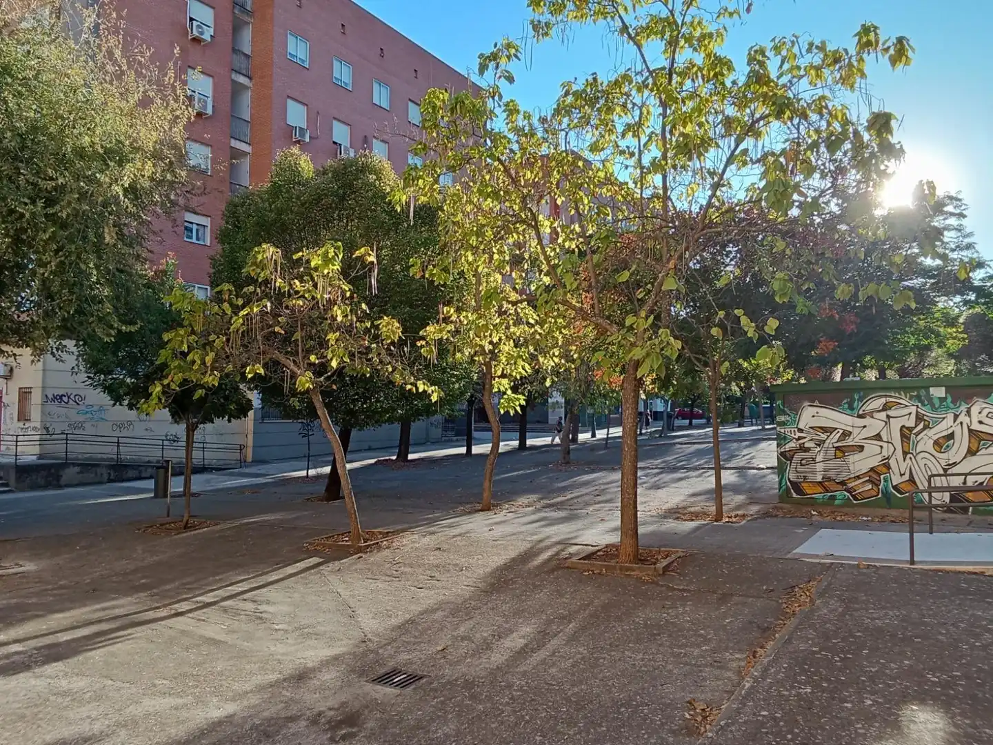 Local comercial en venta en Centro, imagen 13