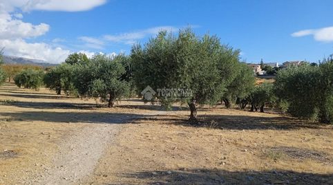 Foto 5 de Terreno en venta en Gójar, Granada