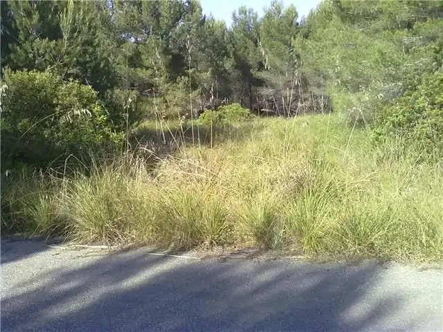 Terrenys i solars en venda a Betlem, imagen 13