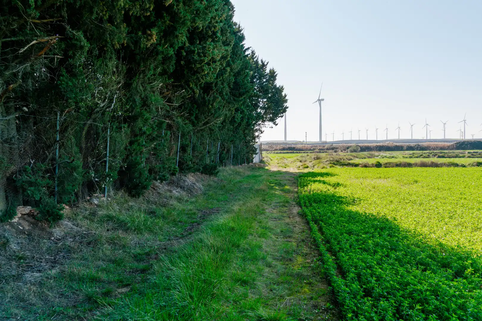 Finca rústica en venda en Pedrola amb Jardí privat, Terrassa i Moblat