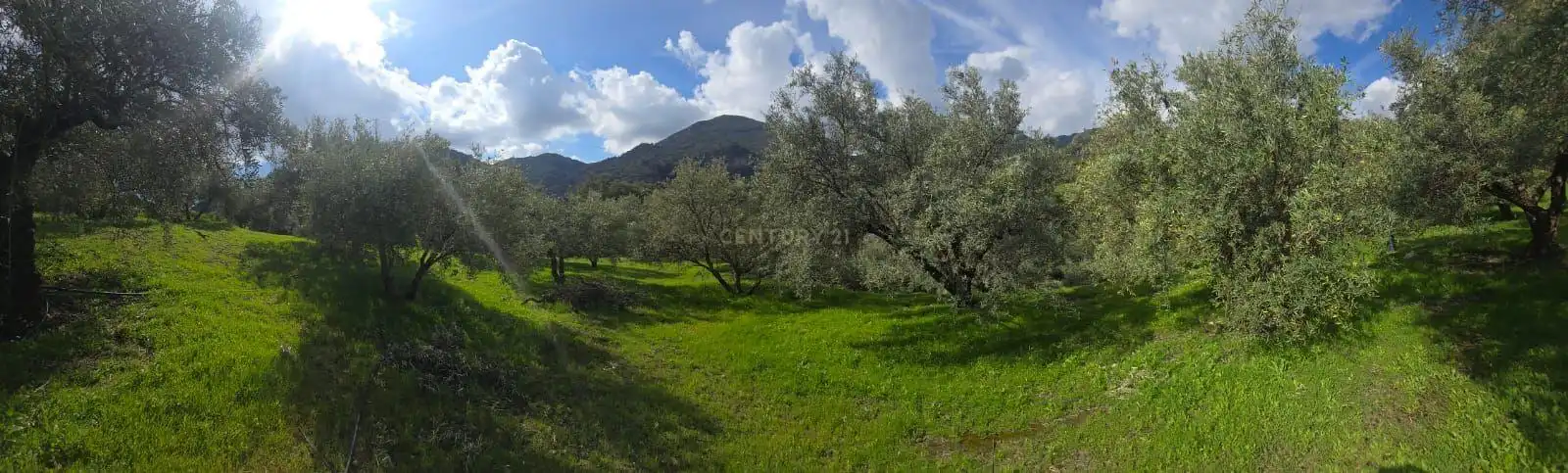 Terreno rustico in vendita a Polígono 11 Parcela 117 EL CERRILLAR. LOS GUAJARES (GRANADA), imagen 4