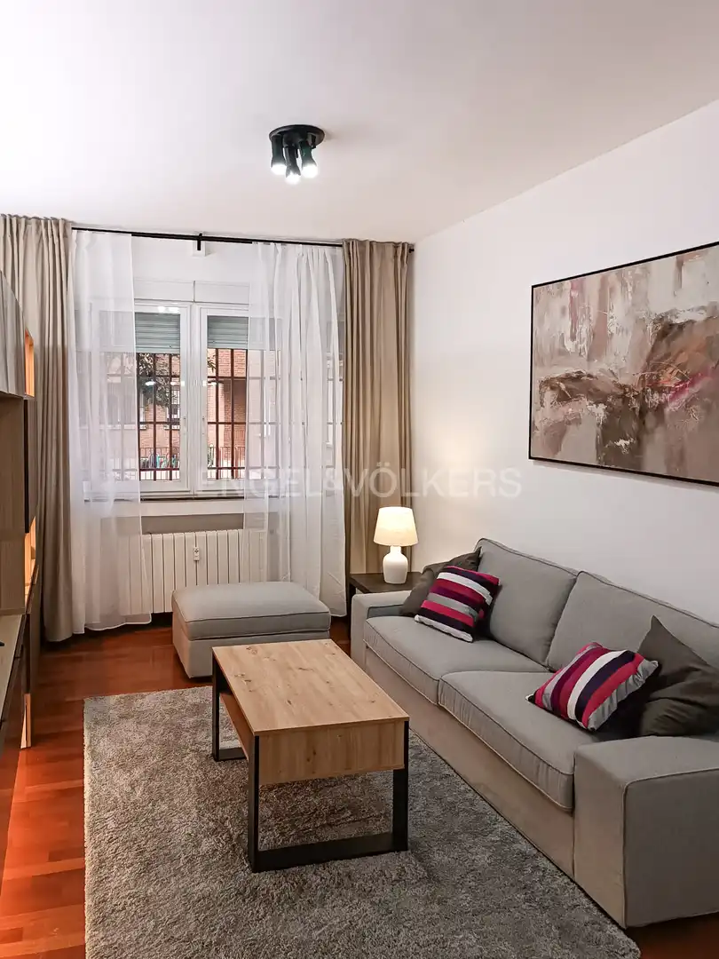 Sala d'estar de Pis de lloguer en Madrid amb Aire condicionat, Calefacció i Jardí privat