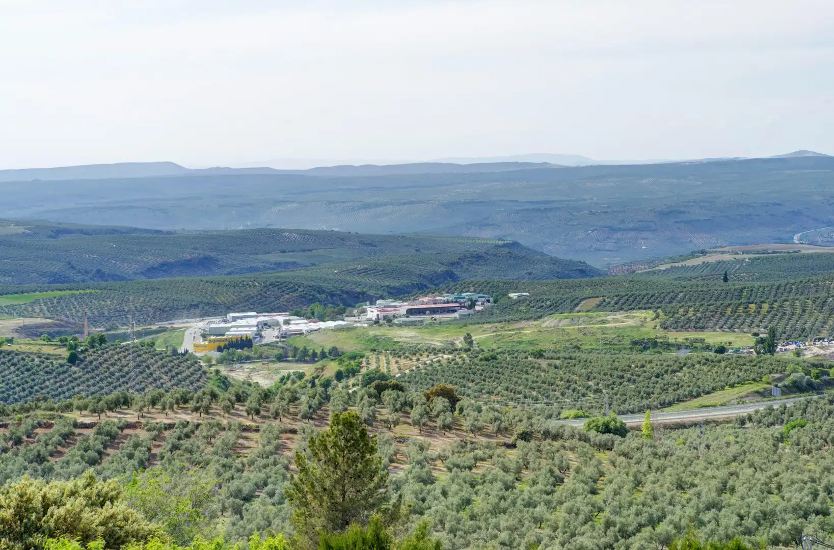 Vista exterior de Casa o xalet en venda en Jaén amb Jardí privat, Terrassa i Piscina