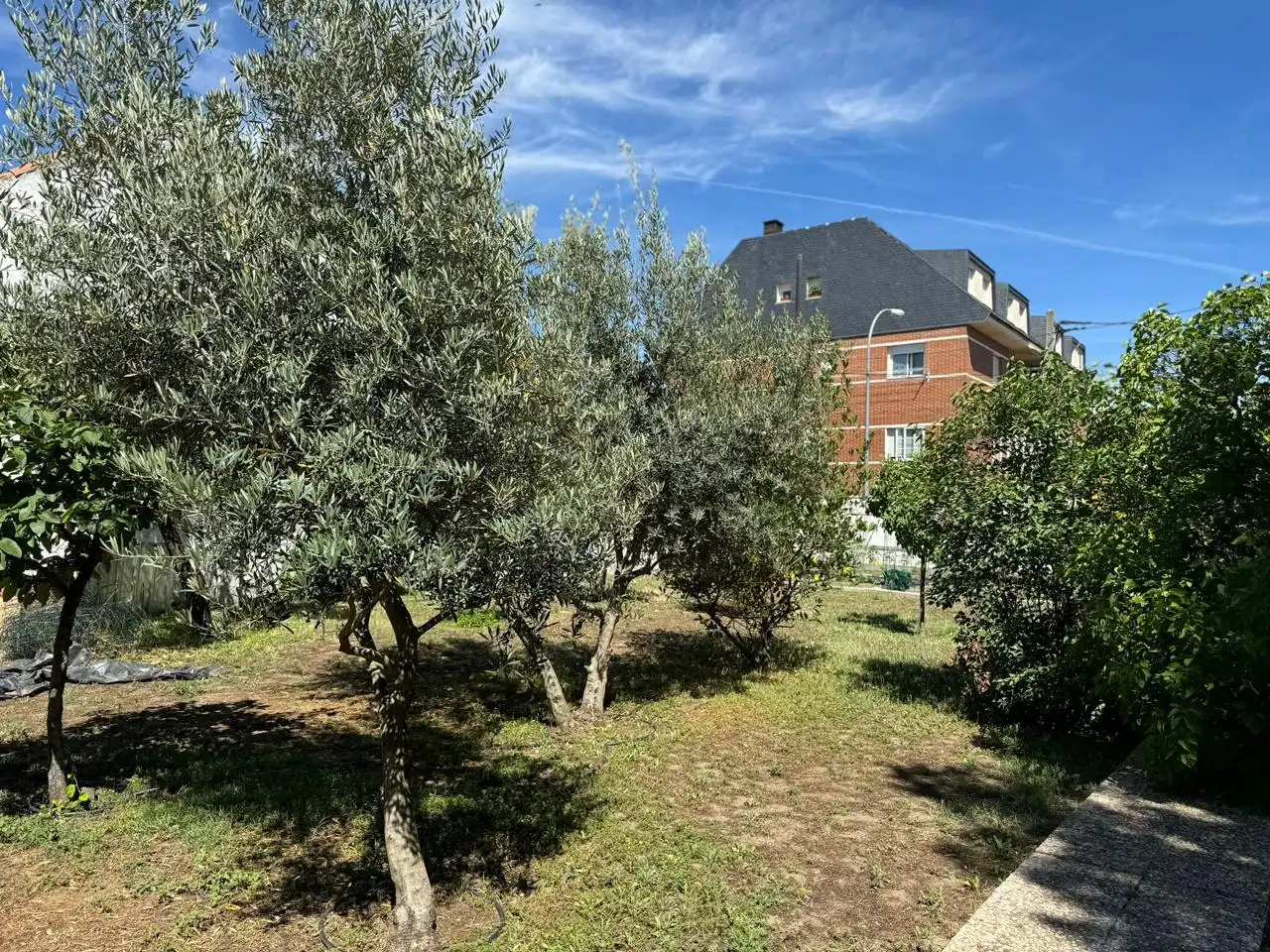Houses for sale in Pardo De Santallana, Carlos Ruiz