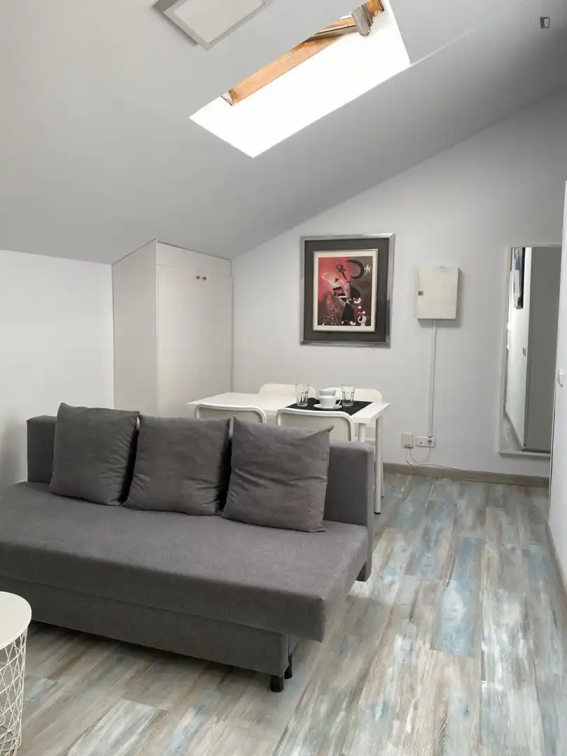 Estudio de alquiler en Embajadores - Lavapiés