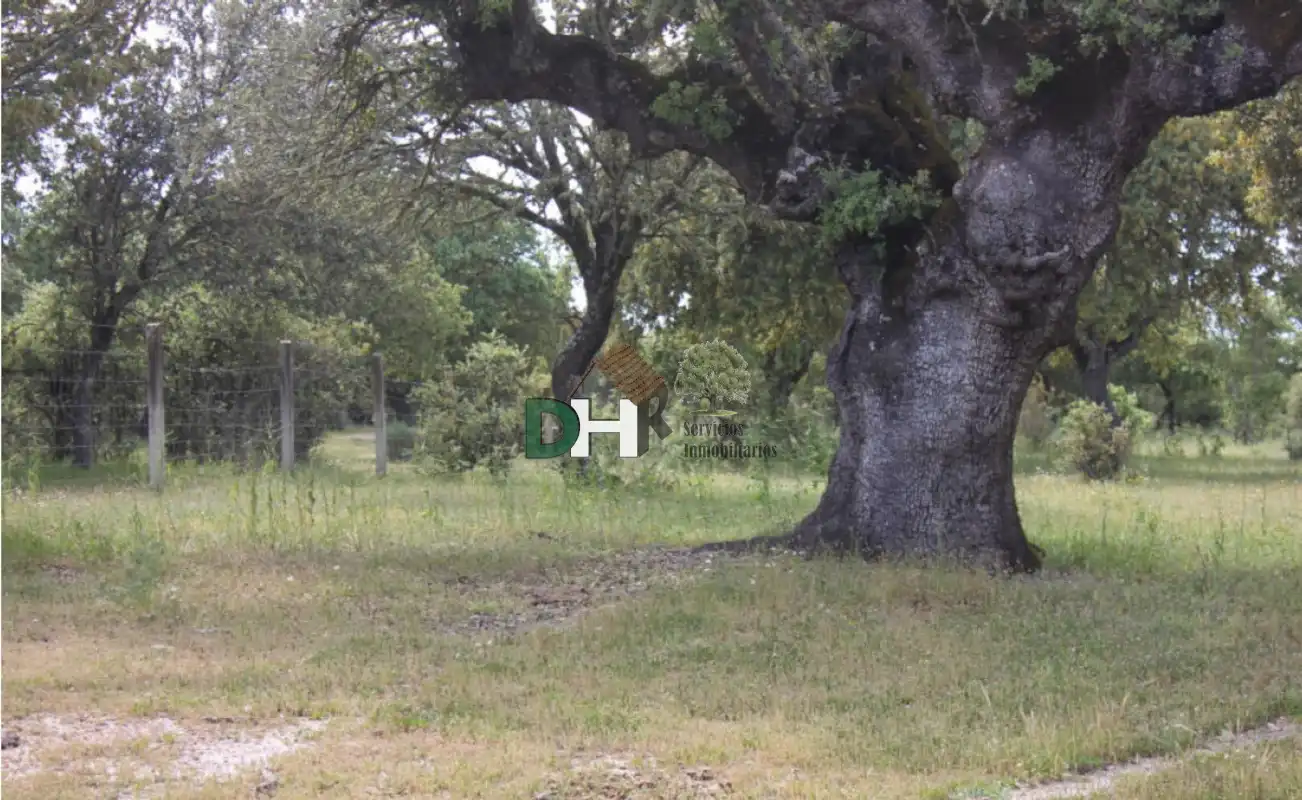 Residencial en venda a Universidad - Tenerías