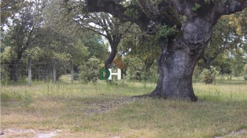 Photo 2 of Residential for sale in Universidad - Tenerías, Salamanca