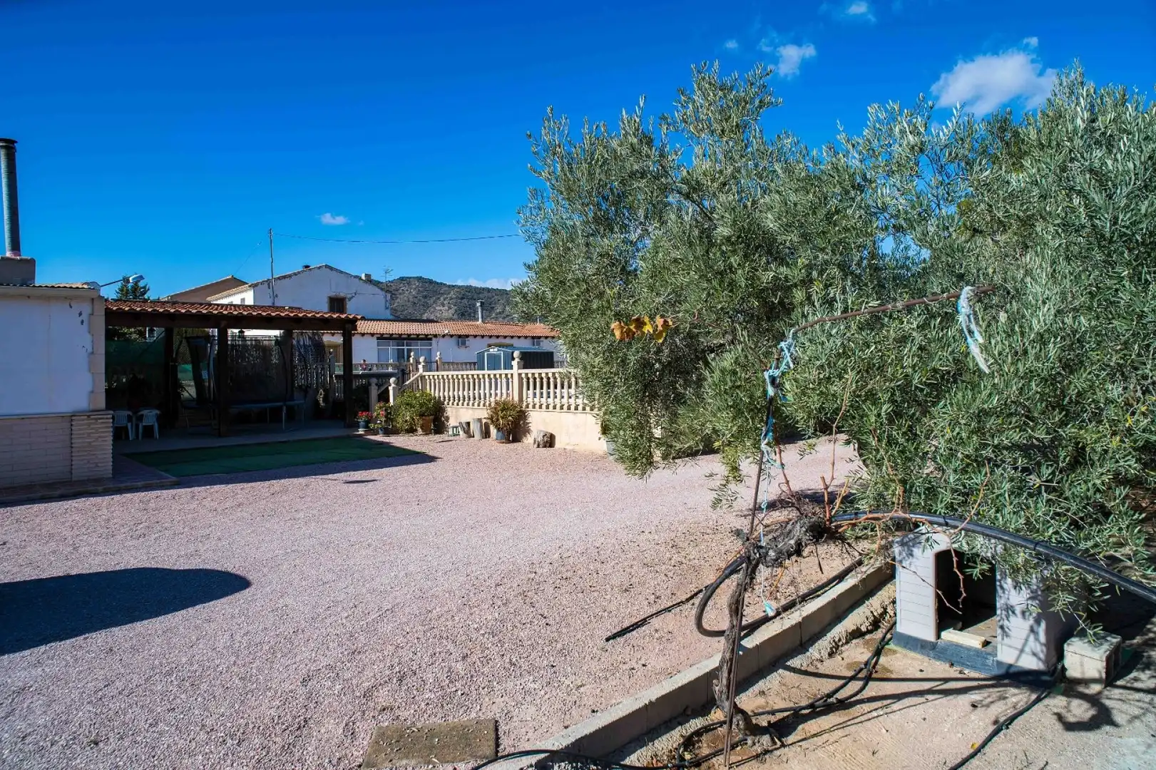 Casa rustica in vendita a Yecla, imagen 25