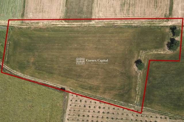 Terreno residencial en Venta en dels Magraners en Palau-sator