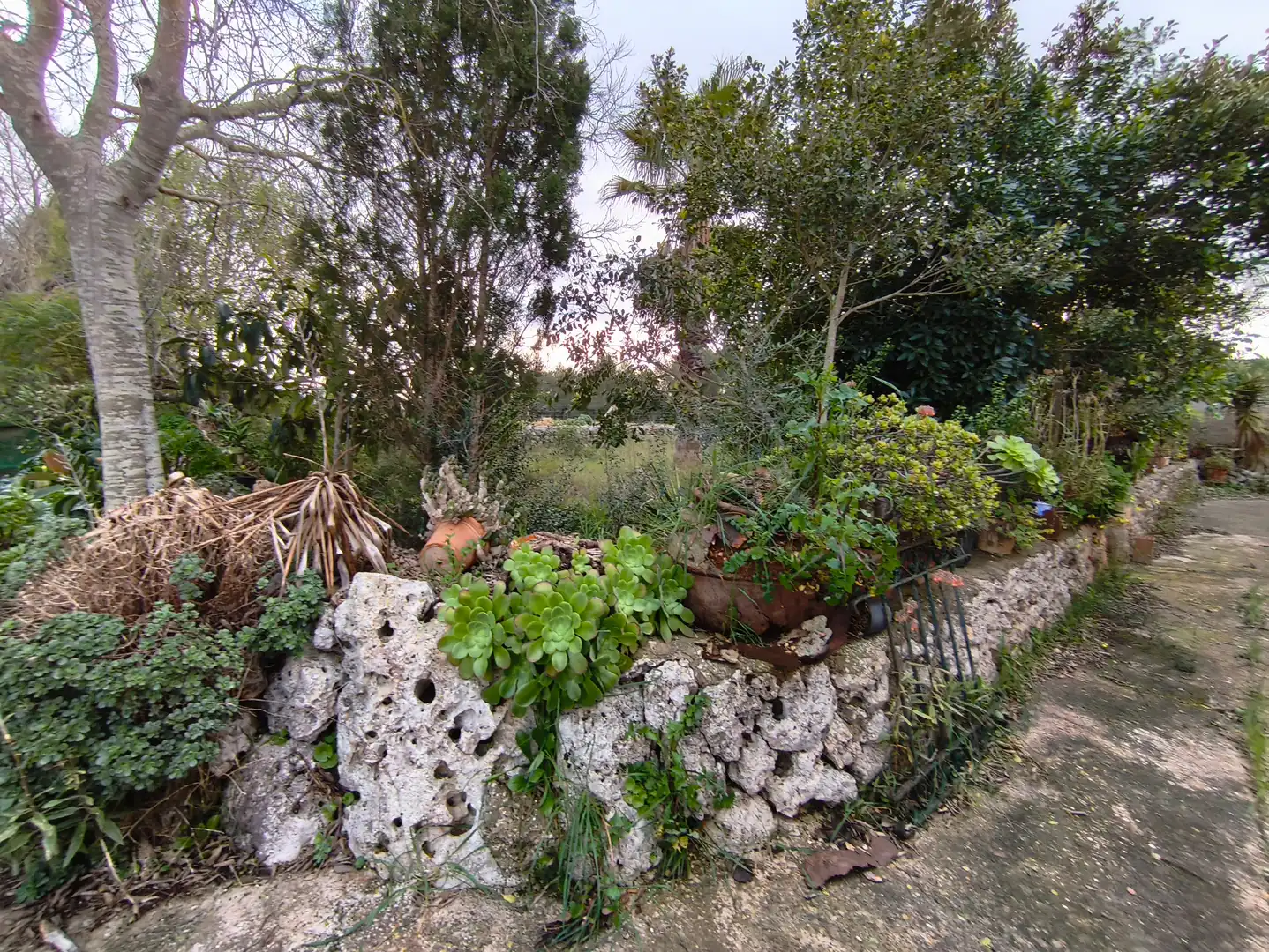 House with garden for sale in Algaida, imagen 11