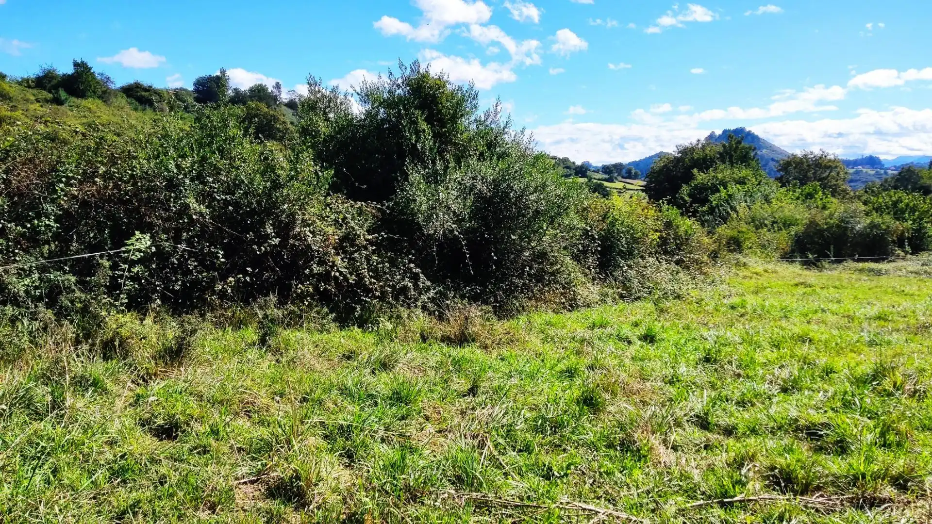 Residential land for sale in Parroquias Norte, imagen 12