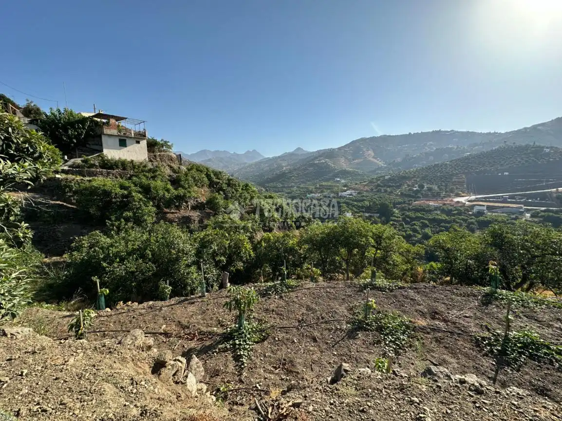 Terreni e lotti in vendita a Torrox Pueblo, imagen 6