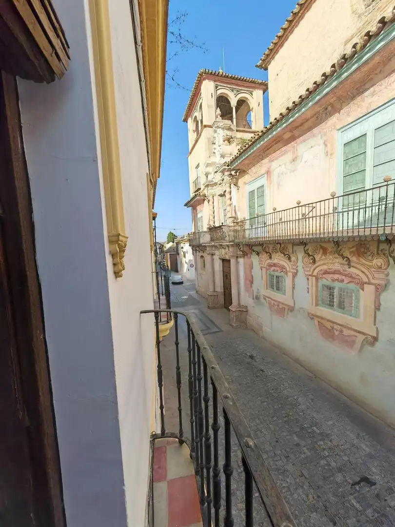 Vista exterior de Casa o chalet en venta en Écija con Terraza y Balcón