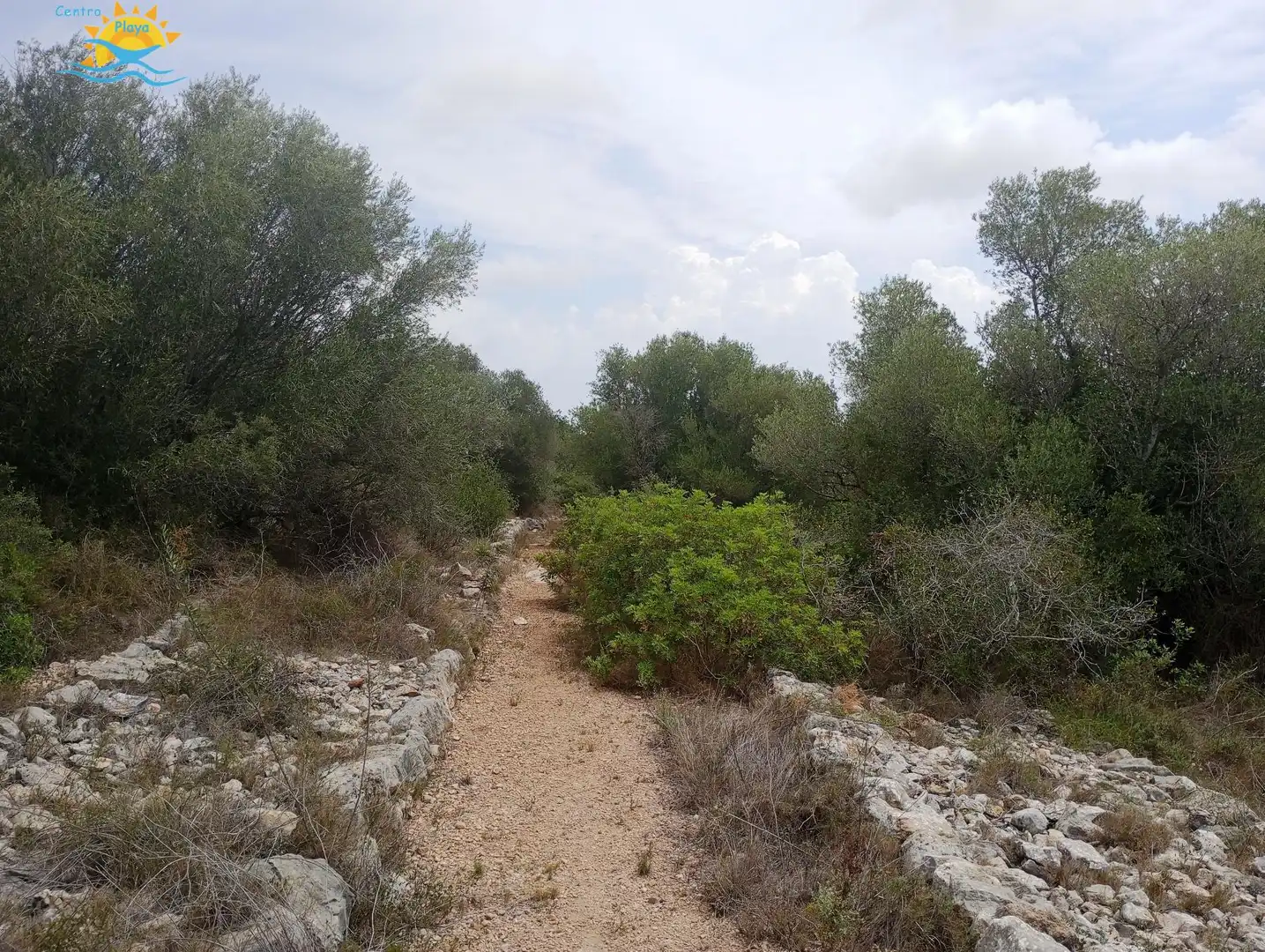 Maison rustique à vendre à CALIG CASTELLON 12589