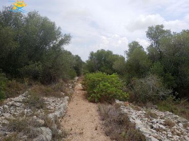 Casa rústica en venta en CALIG CASTELLON 12589
