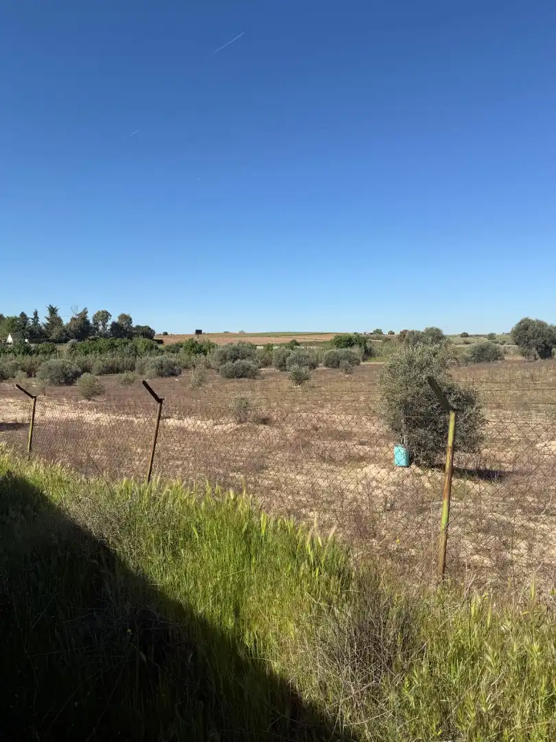 Rural land for sale in Diseminado Navalcarnero, imagen 11