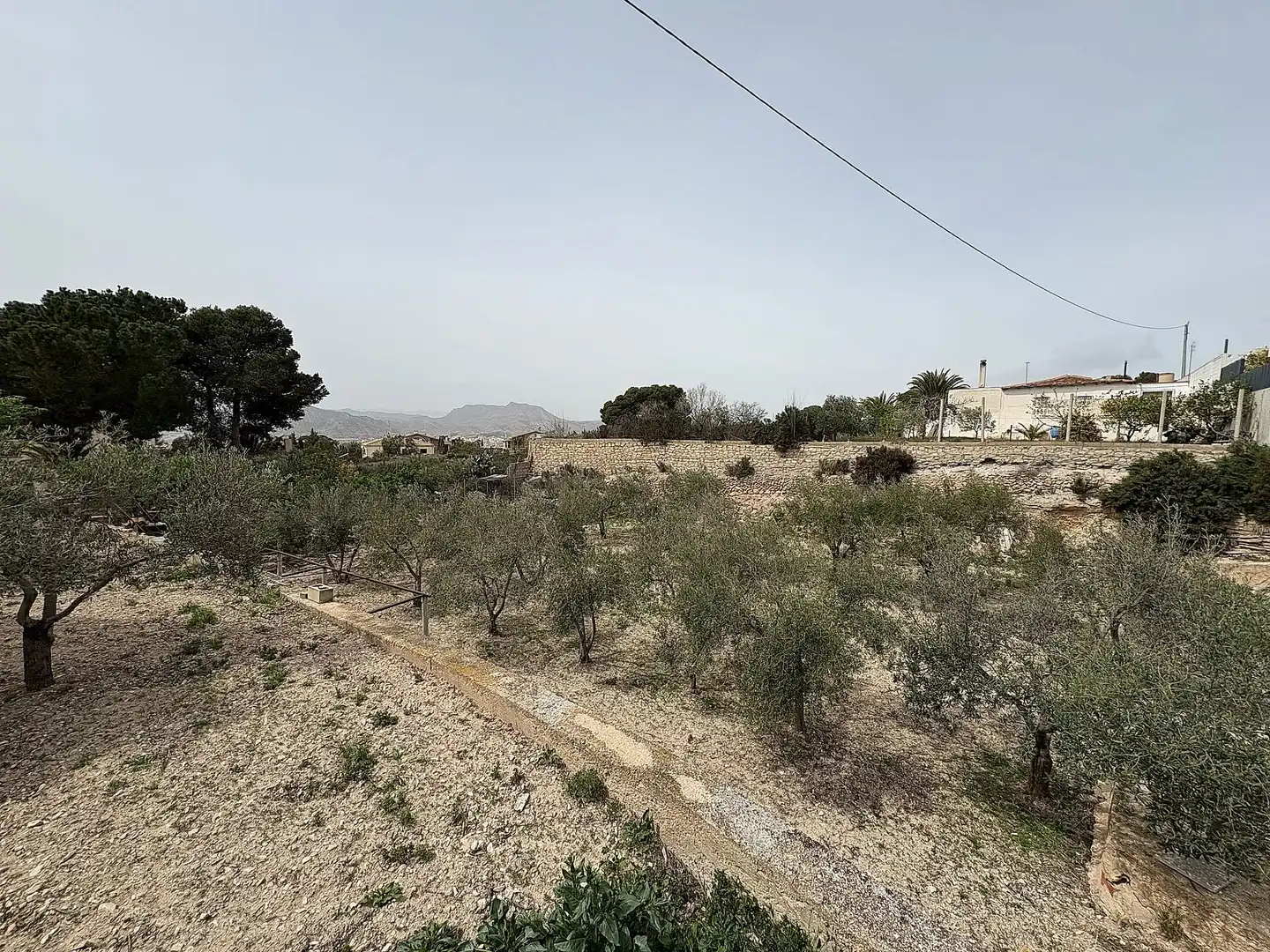 Country house for sale in Petrer, imagen 17