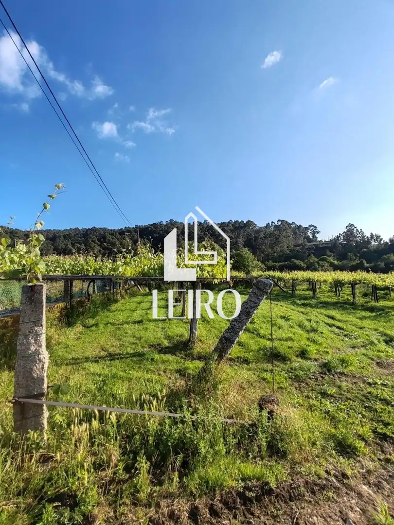Terrenos y solares en venta en Lugar Caxin, imagen 2
