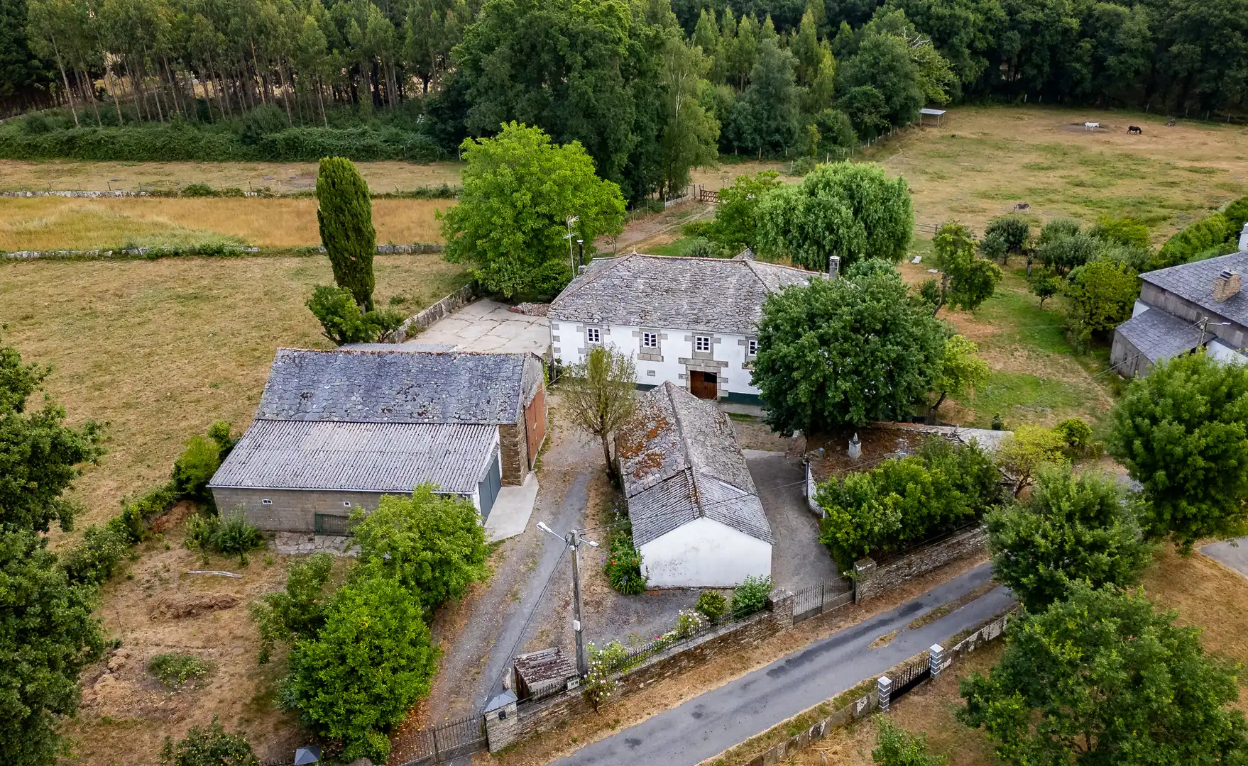 Vista exterior de Finca rústica en venta en Begonte
