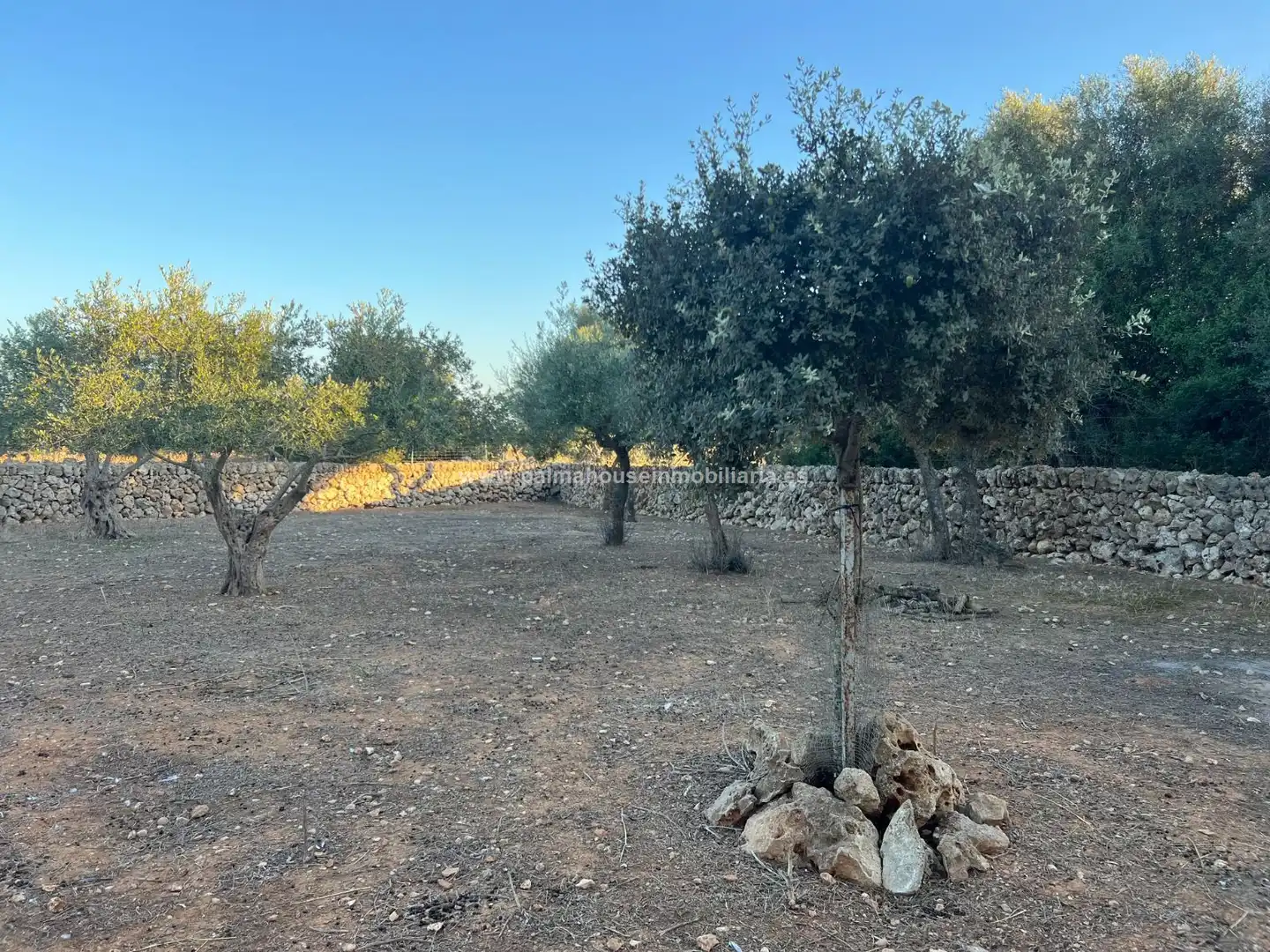 Residencial en venta en Santa Margalida