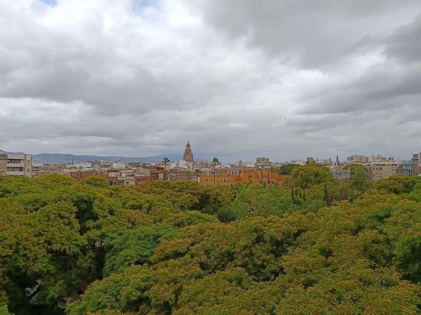 Vista exterior de Piso en venta en Murcia con Aire acondicionado, Parquet y Amueblado