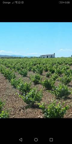 Terreno en Venta en Calle Juan Coto, 3 en Herencia