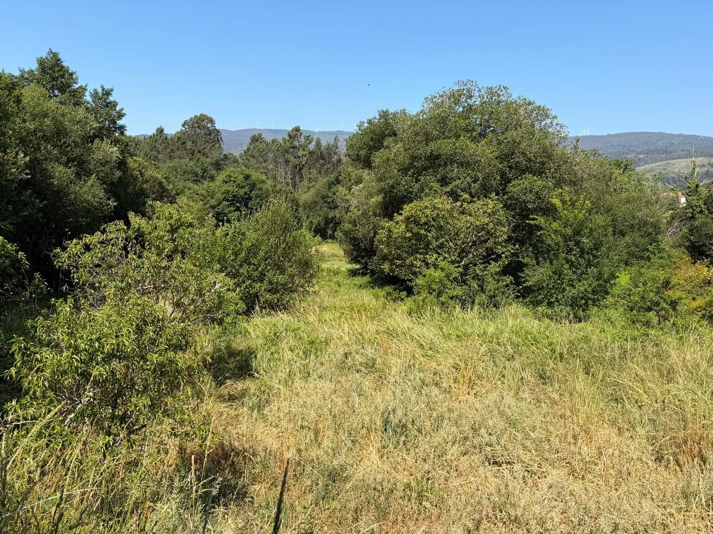 Casa o xalet en venda en A Cañiza   amb Calefacció, Jardí privat i Terrassa