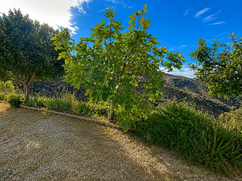 Jardín de Finca rústica en venta en Málaga con Aire acondicionado, Calefacción y Jardín privado