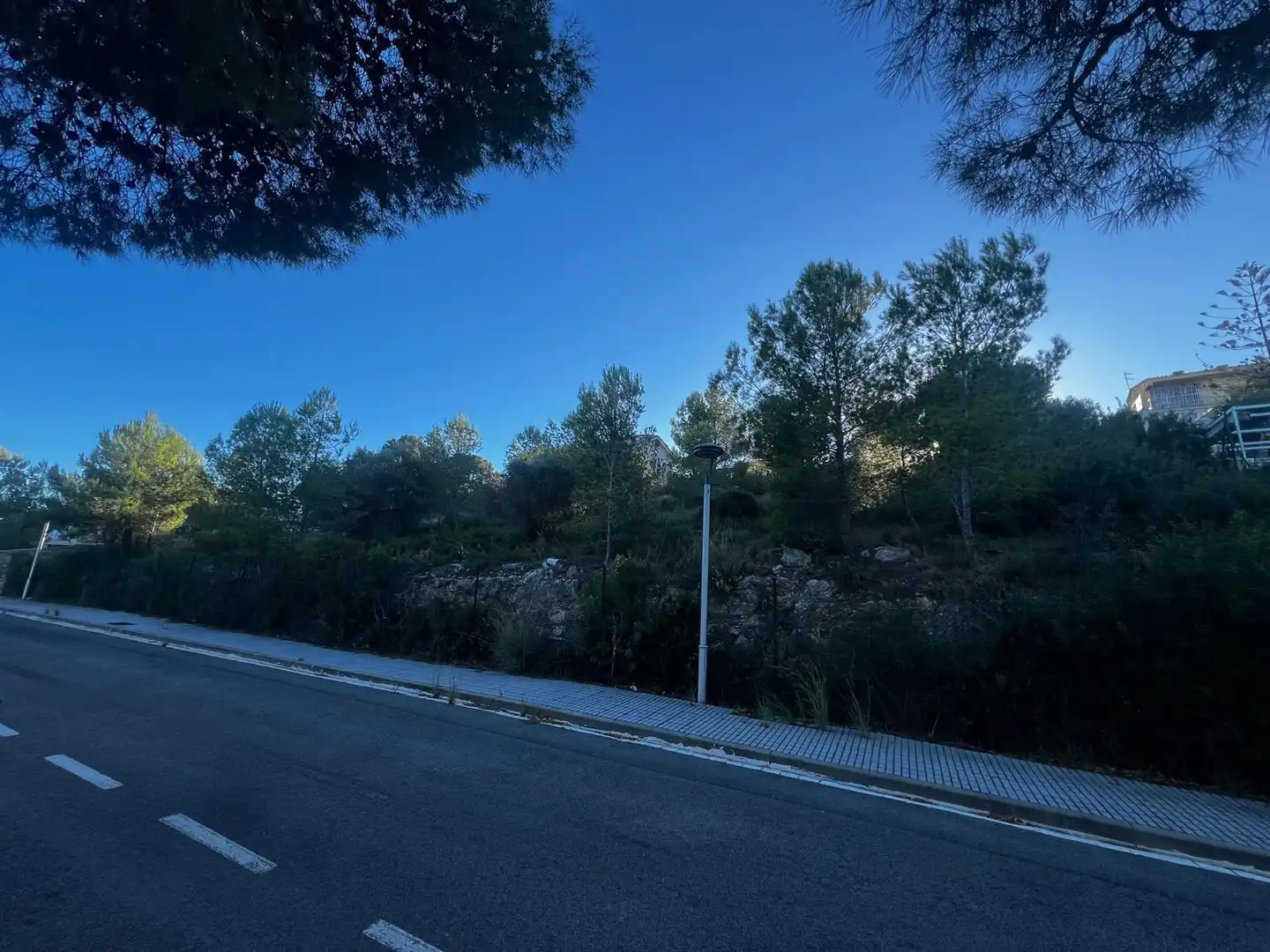 Lands and plots for sale in COSE, imagen 5